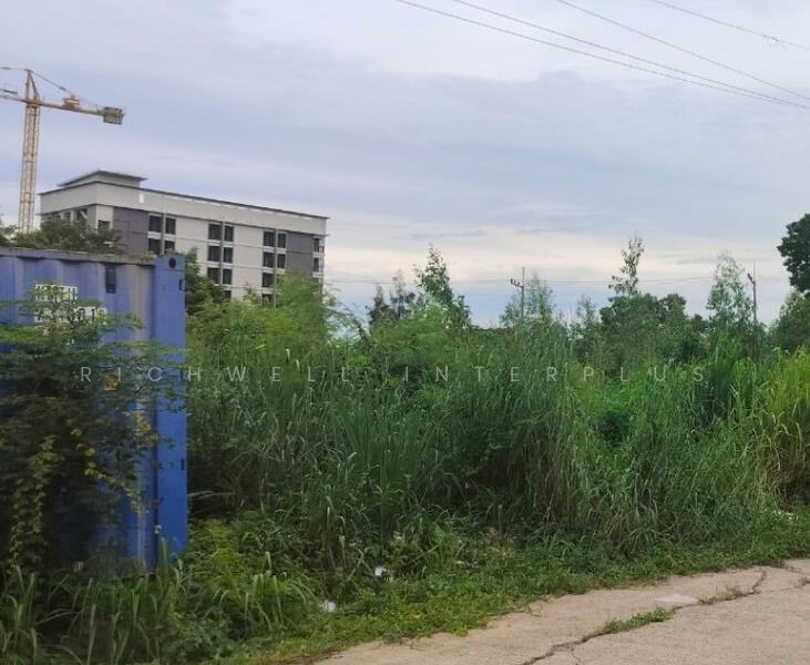 ขาย - ขายที่ดินคลองหลวงแพ่งเริ่มต้น 243 ตรว. หลังตลาดคลองเจ้า ใกล้ถนนสุวินทวงศ์304-500เมตร, ฉะเชิงเทรา