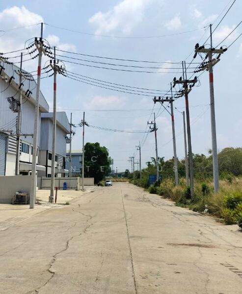 ขาย - ขายที่ดินคลองหลวงแพ่งเริ่มต้น 243 ตรว. หลังตลาดคลองเจ้า ใกล้ถนนสุวินทวงศ์304-500เมตร, ฉะเชิงเทรา