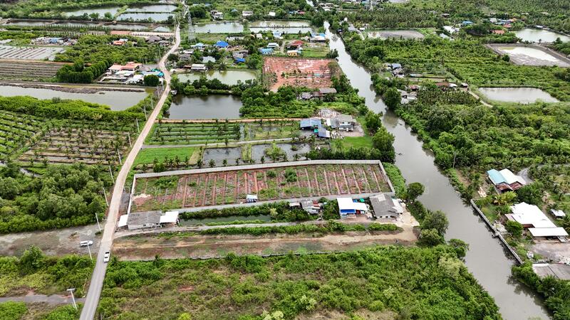 For Sale - RA10 ขายที่ดินสมุทรสาคร (1-1-65) ไร่ ต.นาโคก อ.เมือง หน้ากว้าง 14 เมตร ลึก 160 เมตร, Samut Sakhon