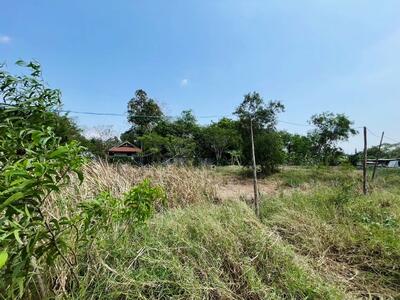ขาย - ที่ดินหนองจอก กรุงเทพมหานคร, กรุงเทพ