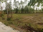 ขายที่ดินหัวหว้า ศรีมหาโพธิ 1 ไร่ ติดถนนทล.ชนบทใกล้ถนนสี่เลน3070-100เมตร, ปราจีนบุรี