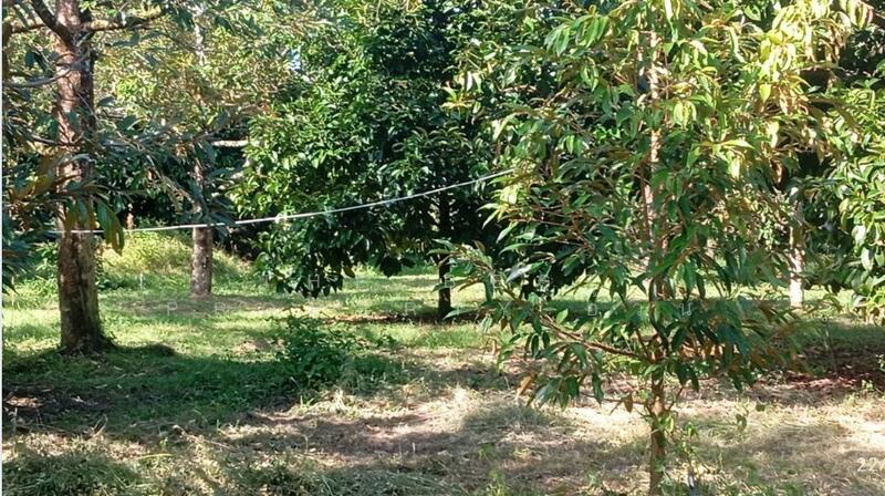 ขาย - ที่ดินพร้อมสิ่งปลูกสร้างมะขาม จันทบุรี, จันทบุรี