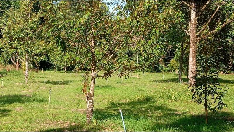 ขาย - ที่ดินพร้อมสิ่งปลูกสร้างมะขาม จันทบุรี, จันทบุรี