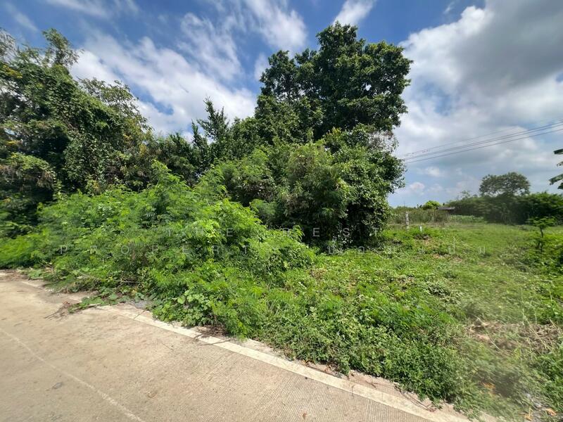 For Sale - ที่ดินสระกะเทียม นครปฐม, Nakhon Pathom