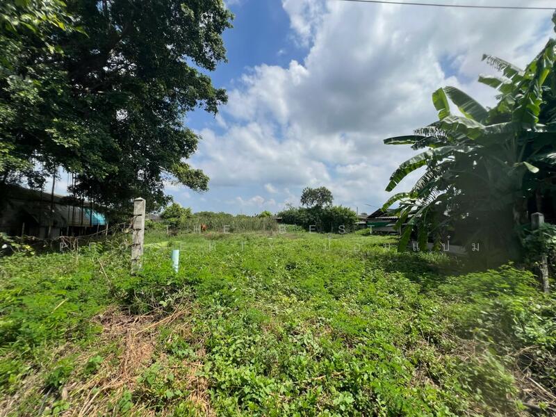 For Sale - ที่ดินสระกะเทียม นครปฐม, Nakhon Pathom