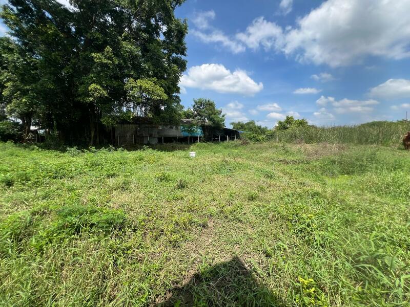 For Sale - ที่ดินสระกะเทียม นครปฐม, Nakhon Pathom