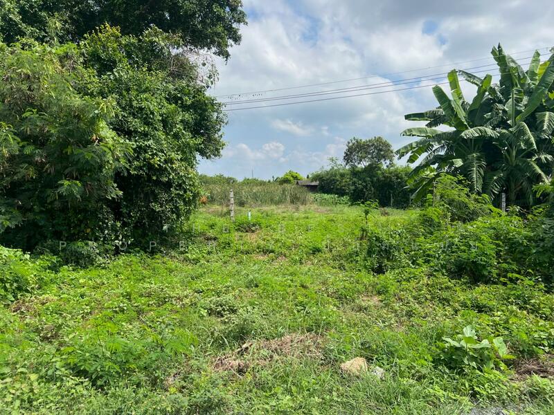 For Sale - ที่ดินสระกะเทียม นครปฐม, Nakhon Pathom