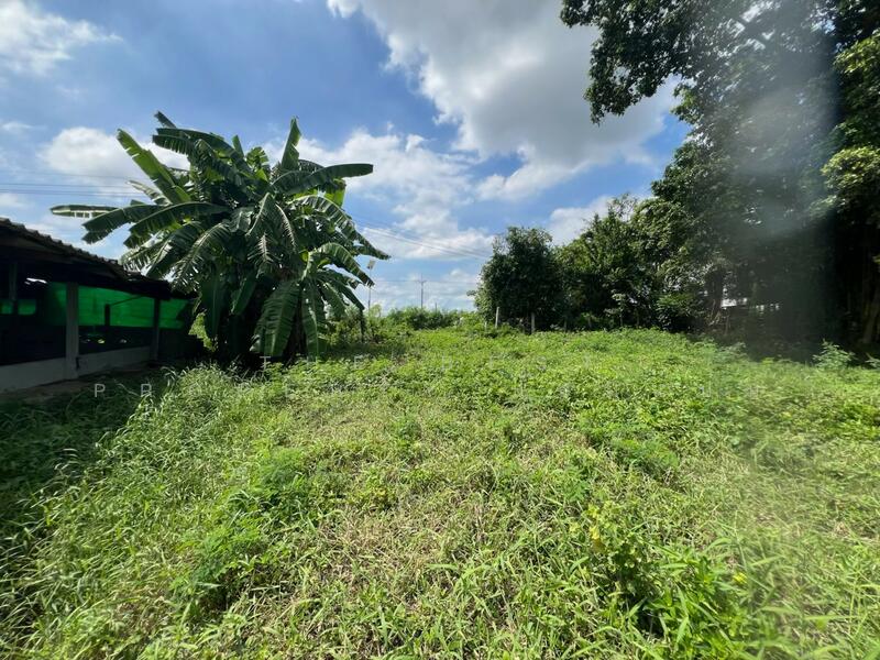 For Sale - ที่ดินสระกะเทียม นครปฐม, Nakhon Pathom