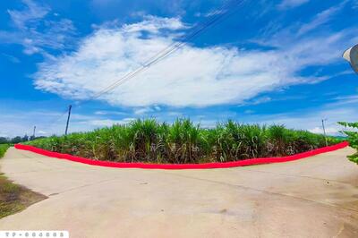 ขาย - TP-984862 ที่ดินท่าม่วง 22 ไร่ 14 ตร.ว. กาญจนบุรี ใกล้โรงพยาบาลส่งเสริมสุขภาพตำบลนพกิจโกศล, กาญจนบุรี