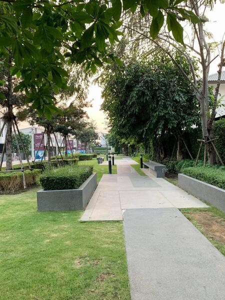 ขาย - พลีโน่ ชัยพฤกษ์ - แจ้งวัฒน, นนทบุรี