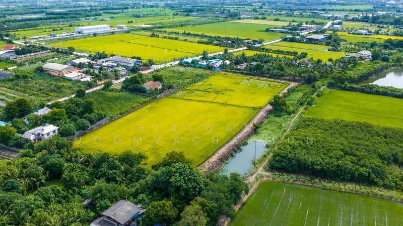 ขายที่ดิน ติดถนนใหญ่ ต. หนองเพรางาย อ. ไทรน้อย จ. นนทบุรี ใกล้มหิดล ศาลายา, Nonthaburi, นบ. 5010, Nong Prao Ngai, Sai Noi, Nonthaburi, , 19,472 sqm, Land For Sale, by Siriwan Udomvachaphun, 60227434 - DDproperty.com
