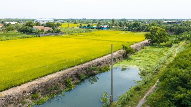 ขายที่ดิน ติดถนนใหญ่ ต. หนองเพรางาย อ. ไทรน้อย จ. นนทบุรี ใกล้มหิดล ศาลายา, นนทบุรี, นบ. 5010, หนองเพรางาย, ไทรน้อย, นนทบุรี, 19,472 ตร.ม., ที่ดิน ขาย, โดย Siriwan Udomvachaphun, 60227434 - DDproperty.com