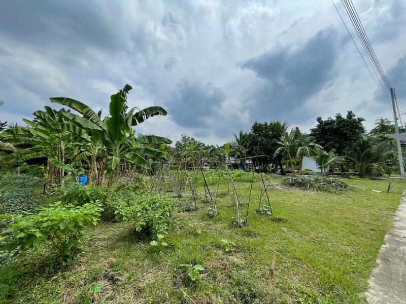 ขาย - ที่ดินอัมพวา สมุทรสงคราม, สมุทรสงคราม