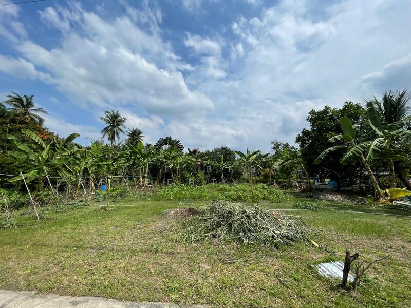 ขาย - ที่ดินอัมพวา สมุทรสงคราม, สมุทรสงคราม