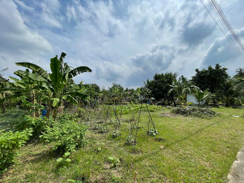 ขาย - ที่ดินอัมพวา สมุทรสงคราม, สมุทรสงคราม