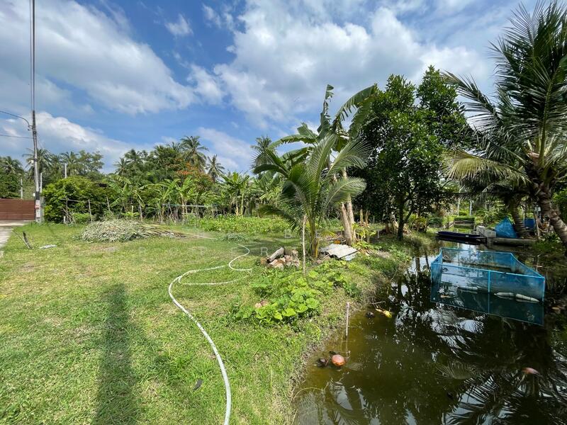 ขาย - ที่ดินอัมพวา สมุทรสงคราม, สมุทรสงคราม