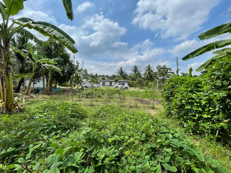 ขาย - ที่ดินอัมพวา สมุทรสงคราม, สมุทรสงคราม