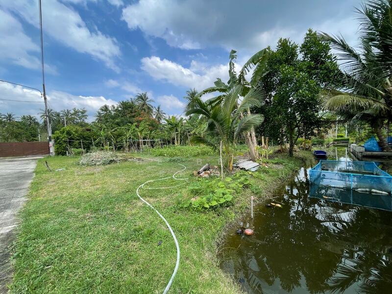 ขาย - ที่ดินอัมพวา สมุทรสงคราม, สมุทรสงคราม
