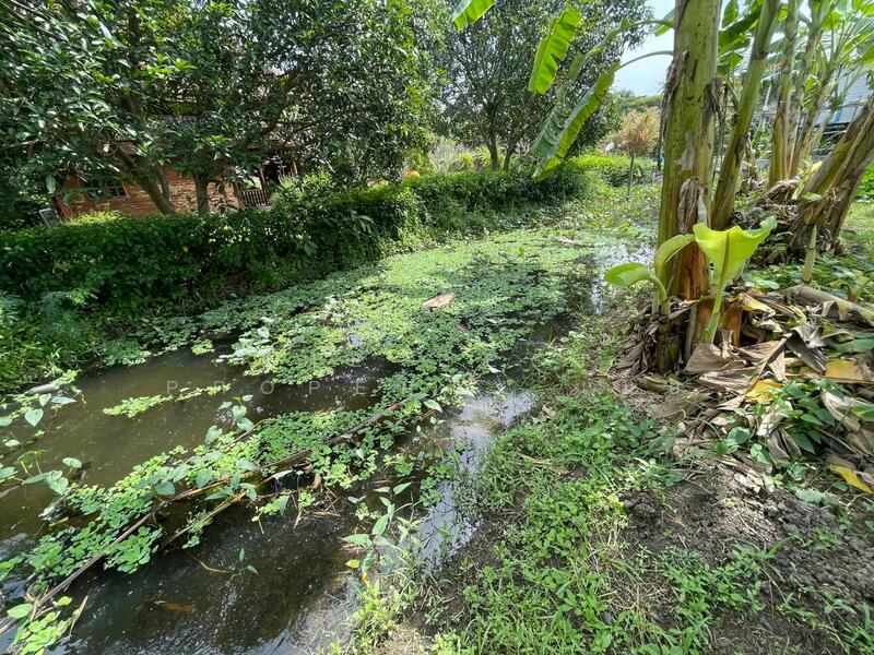 ขาย - ที่ดินอัมพวา สมุทรสงคราม, สมุทรสงคราม