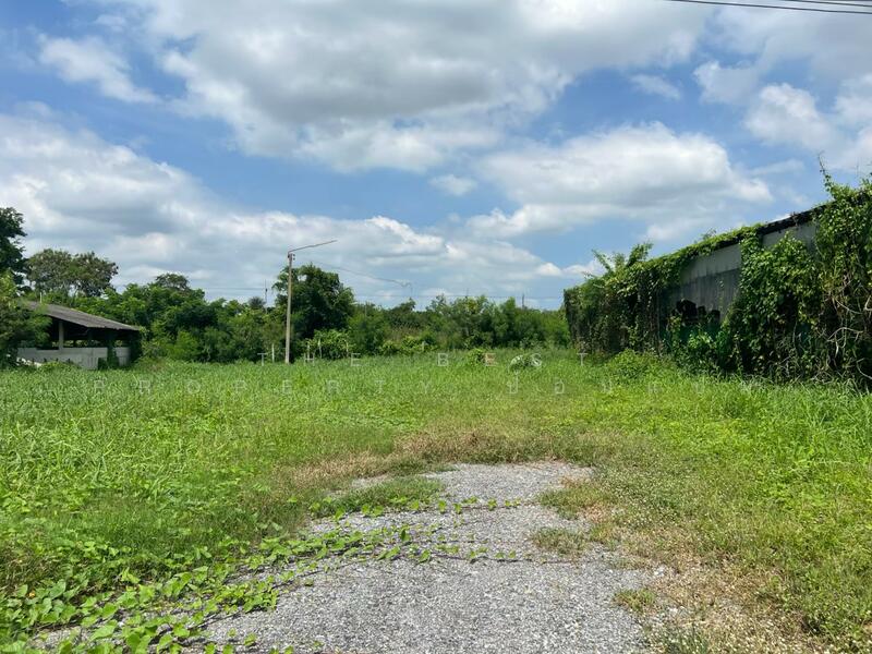 ขาย - ที่ดินพร้อมสิ่งปลูกสร้างสวนป่าน นครปฐม, นครปฐม