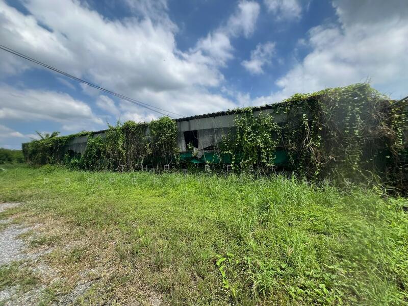 ขาย - ที่ดินพร้อมสิ่งปลูกสร้างสวนป่าน นครปฐม, นครปฐม