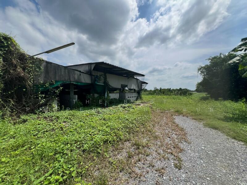 ขาย - ที่ดินพร้อมสิ่งปลูกสร้างสวนป่าน นครปฐม, นครปฐม