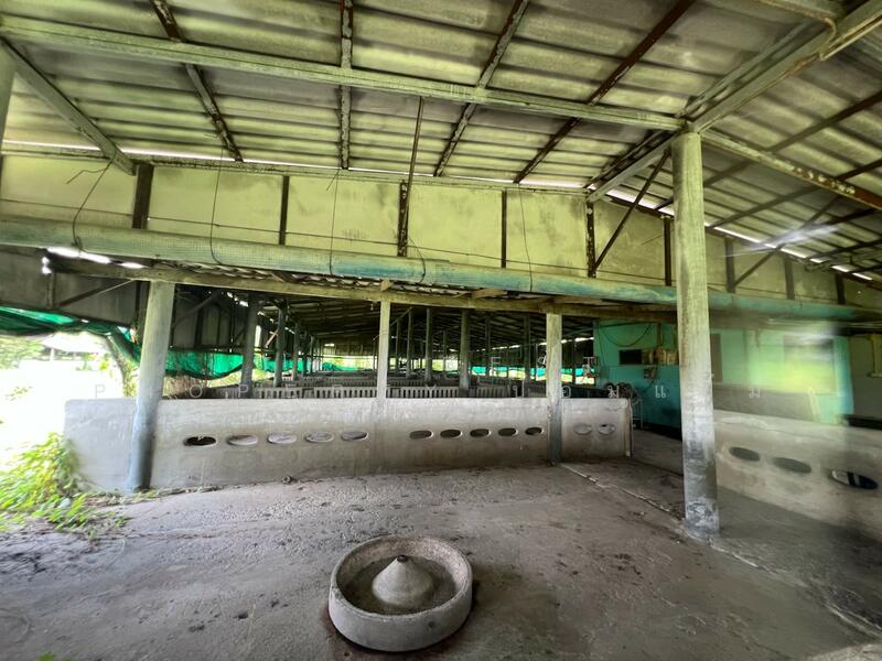 ขาย - ที่ดินพร้อมสิ่งปลูกสร้างสวนป่าน นครปฐม, นครปฐม