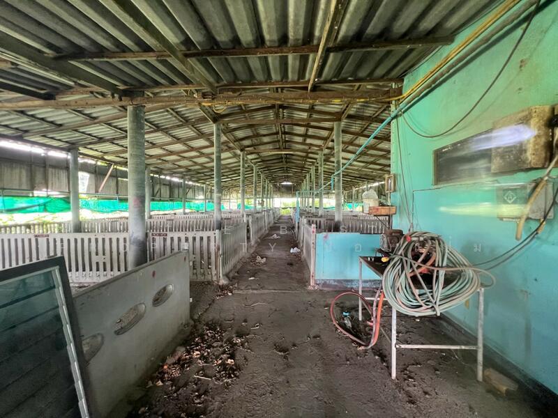 ขาย - ที่ดินพร้อมสิ่งปลูกสร้างสวนป่าน นครปฐม, นครปฐม