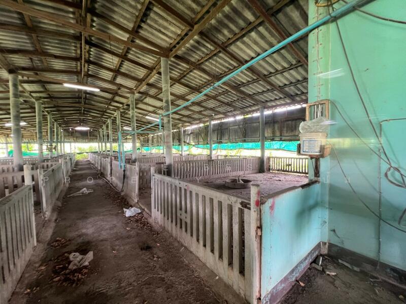 ขาย - ที่ดินพร้อมสิ่งปลูกสร้างสวนป่าน นครปฐม, นครปฐม