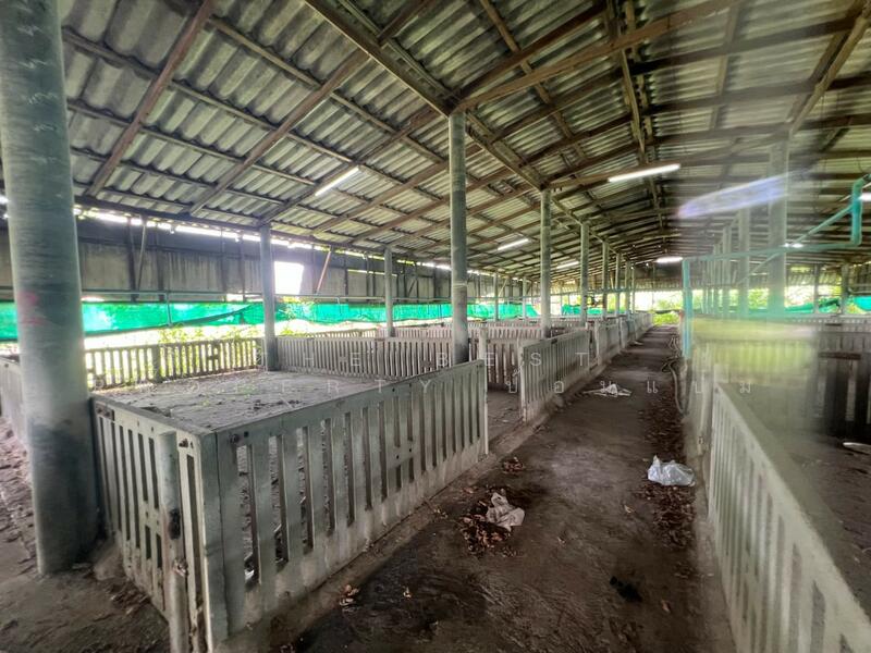 ขาย - ที่ดินพร้อมสิ่งปลูกสร้างสวนป่าน นครปฐม, นครปฐม