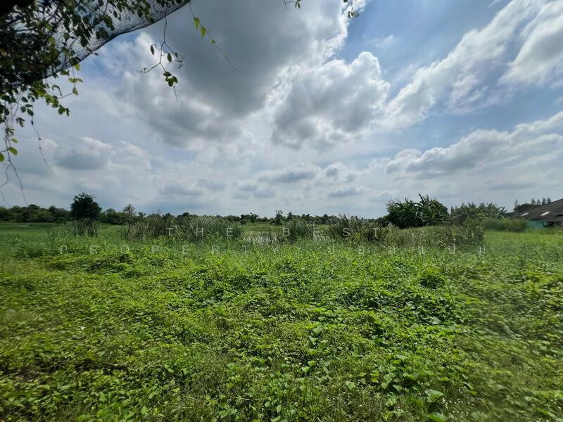 ขาย - ที่ดินพร้อมสิ่งปลูกสร้างสวนป่าน นครปฐม, นครปฐม