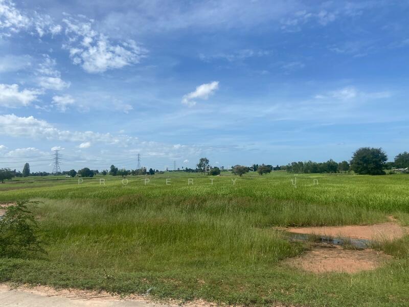 ขาย - ที่ดินบ้านไผ่ ขอนแก่น, ขอนแก่น