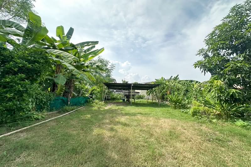 ขายที่ดิน 48 ตรว. เฉลิมพระเกียรติ ร.9 ศรีนครินทร์ ใกล้สวนหลวง, Bangkok, Bang Chak, Phra Khanong, Bangkok, , 192 sqm, Land For Sale, by คุณป้อม, 60228275 - DDproperty.com