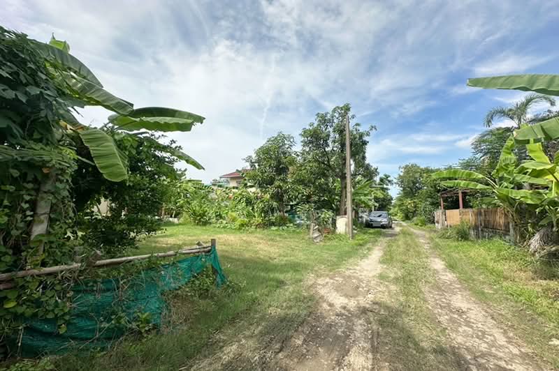 ขายที่ดิน 48 ตรว. เฉลิมพระเกียรติ ร.9 ศรีนครินทร์ ใกล้สวนหลวง, Bangkok, Bang Chak, Phra Khanong, Bangkok, , 192 sqm, Land For Sale, by คุณป้อม, 60228275 - DDproperty.com