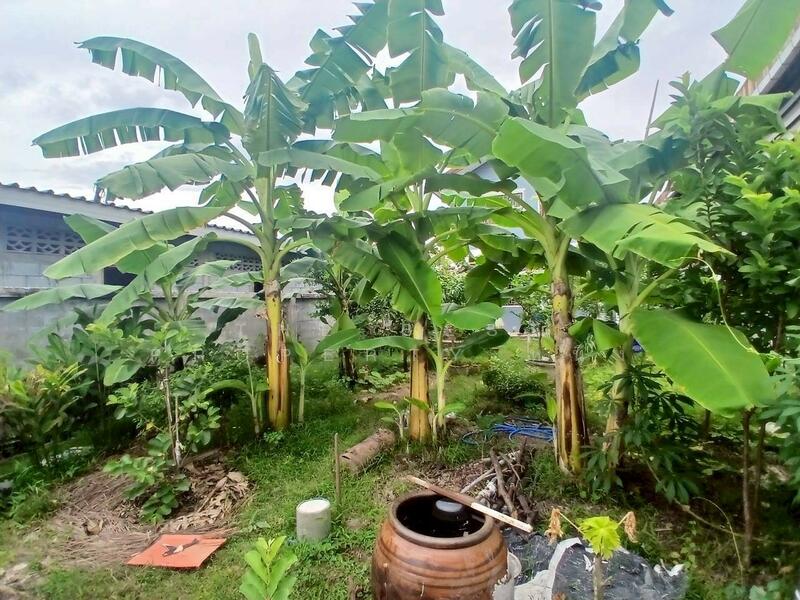 ขาย - บ้านเดี่ยวกระทุ่มแบน สมุทรสาคร, สมุทรสาคร