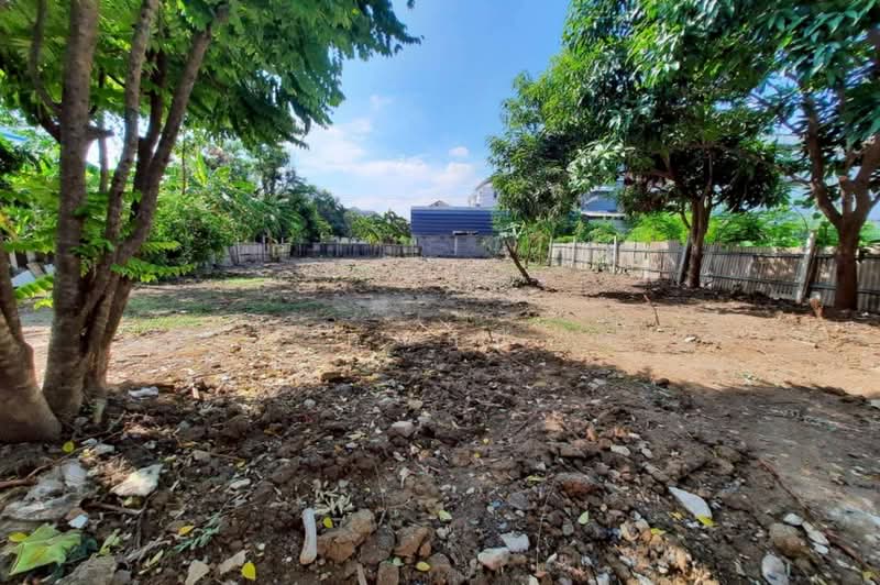 ขายที่ดิน 97ตร.ว. อ่อนนุช 66 แยก3 สุขุมวิท 77 ใกล้ MRT ศรีนุช, กรุงเทพ, สวนหลวง, กรุงเทพ, 388 ตร.ม., ที่ดิน ขาย, โดย คุณสินี, 60229158 - DDproperty.com