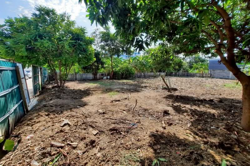 ขายที่ดิน 97ตร.ว. อ่อนนุช 66 แยก3 สุขุมวิท 77 ใกล้ MRT ศรีนุช, Bangkok, Suan Luang, Bangkok, , 388 sqm, Land For Sale, by คุณสินี, 60229158 - DDproperty.com