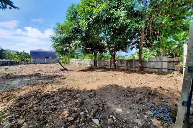 ขายที่ดิน 97ตร.ว. อ่อนนุช 66 แยก3 สุขุมวิท 77 ใกล้ MRT ศรีนุช, Bangkok, Suan Luang, Bangkok, , 388 sqm, Land For Sale, by คุณสินี, 60229158 - DDproperty.com