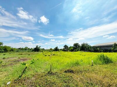 ขาย - ที่ดินเปล่า เนื้อที่ 2 ไร่ ต.คลองสอง อ.คลองหลวง จ.ปทุมธานี, ปทุมธานี