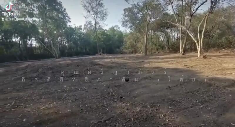 ขาย - ขายที่ดินเปล่า 2 ไร่ 53 ตรว. ต.บางไทร อ.บางไทร จ.พระนครศรีอยุธยา, พระนครศรีอยุธยา