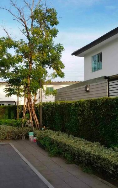 ขาย - Baan Pruksa 95/2 Pinklao - Wongwaen : บ้านพฤกษา 95/2 ปิ่นเกล้า - วงแหวนฯ, นนทบุรี