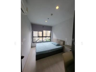 ขาย - Elio Del Nest : เอลิโอ เดล เนสท์, กรุงเทพ