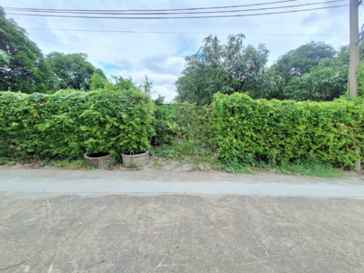 ขาย - Chonlada Bangbuathong : ชลลดา บางบัวทอง, นนทบุรี