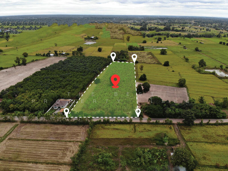 For Sale - ที่ดินหนองหาน อุดรธานี, Udon Thani