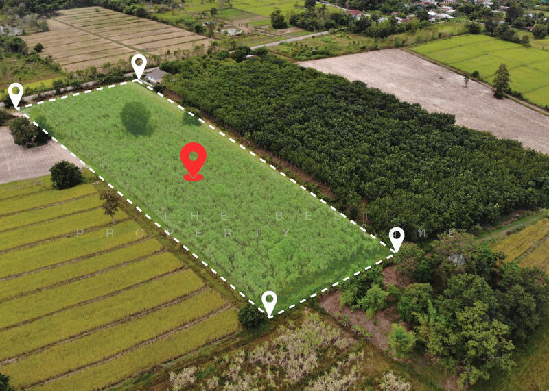 For Sale - ที่ดินหนองหาน อุดรธานี, Udon Thani