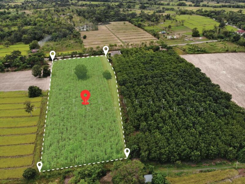 For Sale - ที่ดินหนองหาน อุดรธานี, Udon Thani