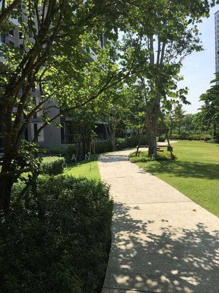 ให้เช่า - Park Court Sukhumvit 77 : พาร์ค คอร์ท สุขุมวิท 77, กรุงเทพ