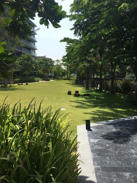 ให้เช่า - Park Court Sukhumvit 77 : พาร์ค คอร์ท สุขุมวิท 77, กรุงเทพ