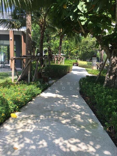 ให้เช่า - Park Court Sukhumvit 77 : พาร์ค คอร์ท สุขุมวิท 77, กรุงเทพ