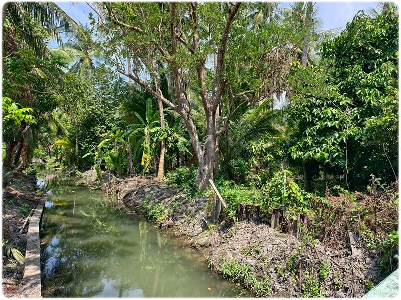 ขาย - ขายที่สวนมีบ้านทรงไทย 2หลัง ติดน้ำ มีหิ่งห้อยช่วงค่ำ พร้อมอยู่, ราชบุรี